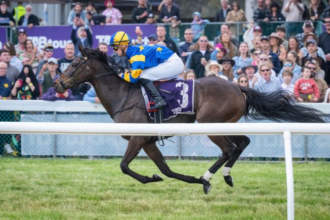 Capable-Angel-wins-Toodyay-Cup-px