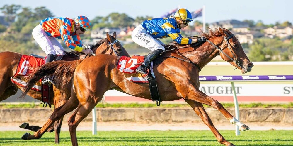 Western-Lady_11-02-2026_WIN_Belmont_8__06_1000x583px-1