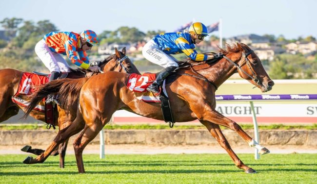 Western-Lady_11-02-2026_WIN_Belmont_8__06_1000x583px-1