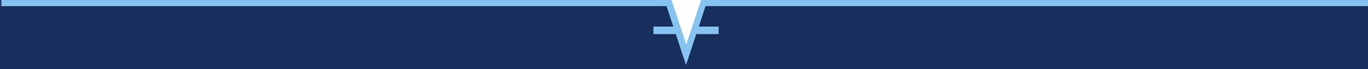 light-blue-bar